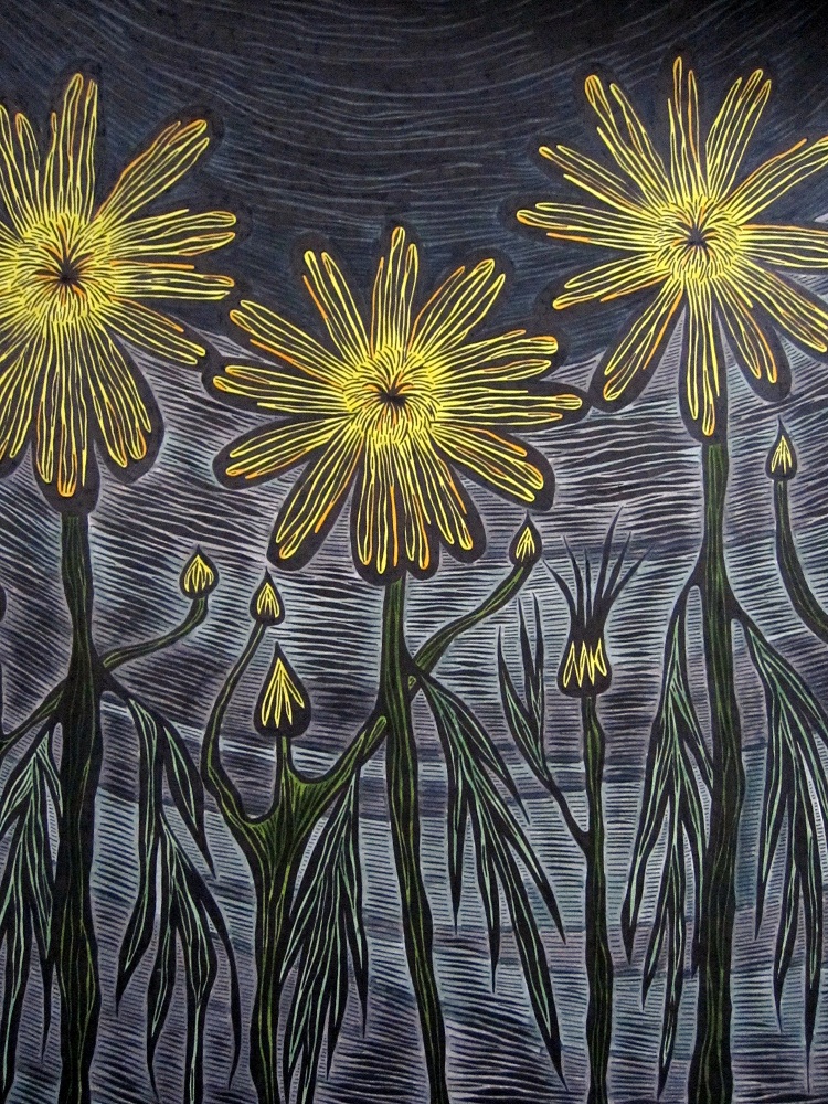 Argyranthemum Maderense by Bywaters